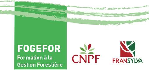 LOGO FOGEFOR