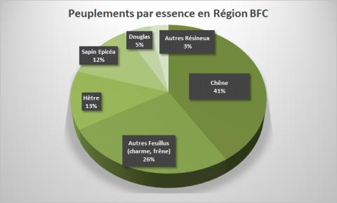 Peuplement par essence BFC
