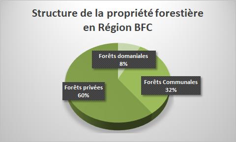 Structure forêt BFC