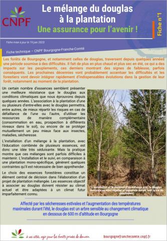 01.Schémas d'implantation de plantation mélangée et essences associées au Douglas