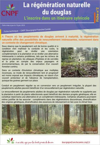 02.Conseil aux sylviculteurs sur le mode de renouvellement du Douglas par régénération naturelle