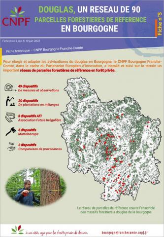 05_Réseau_Douglas