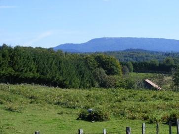 Gestion des forêts et des milieux