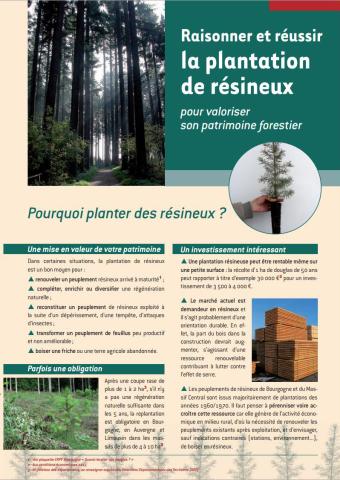Raisonner et réussir la plantation de résineux