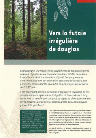 Vers la futaie irrégulière de douglas