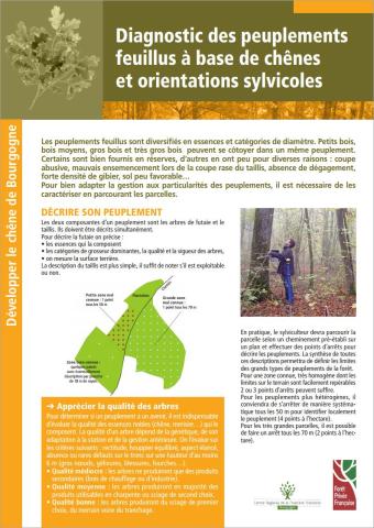diagnostic_des_peuplements_feuillus_a_base_de_chene