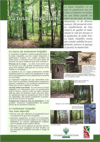 futaie_irreguliere