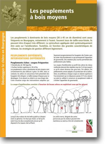peuplements_a_bois_moyens2