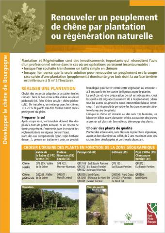 renouveler_un_peuplement_de_chene