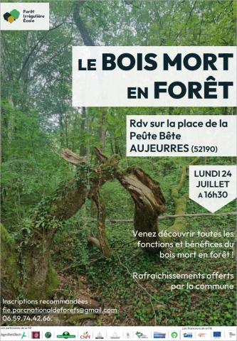 AFFICHE_ANIM_BOIS_MORT