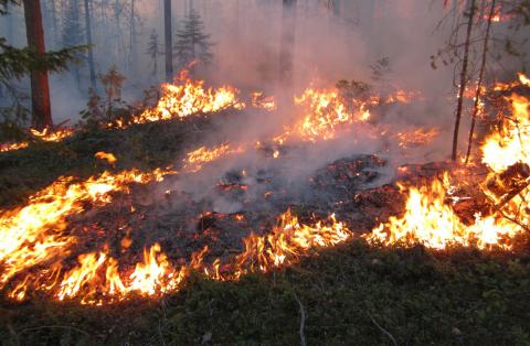 Incendie