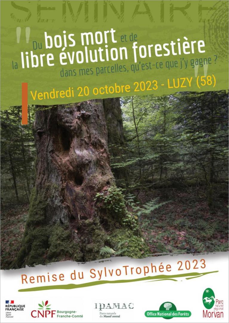 Affiche Séminaire Bois Mort