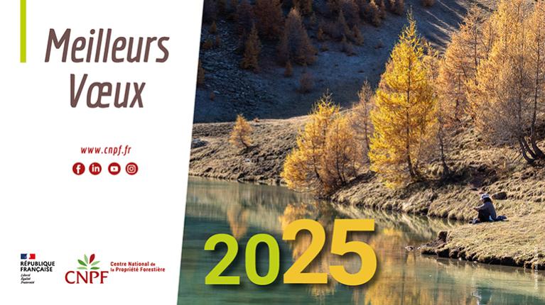 Voeux_format web2025