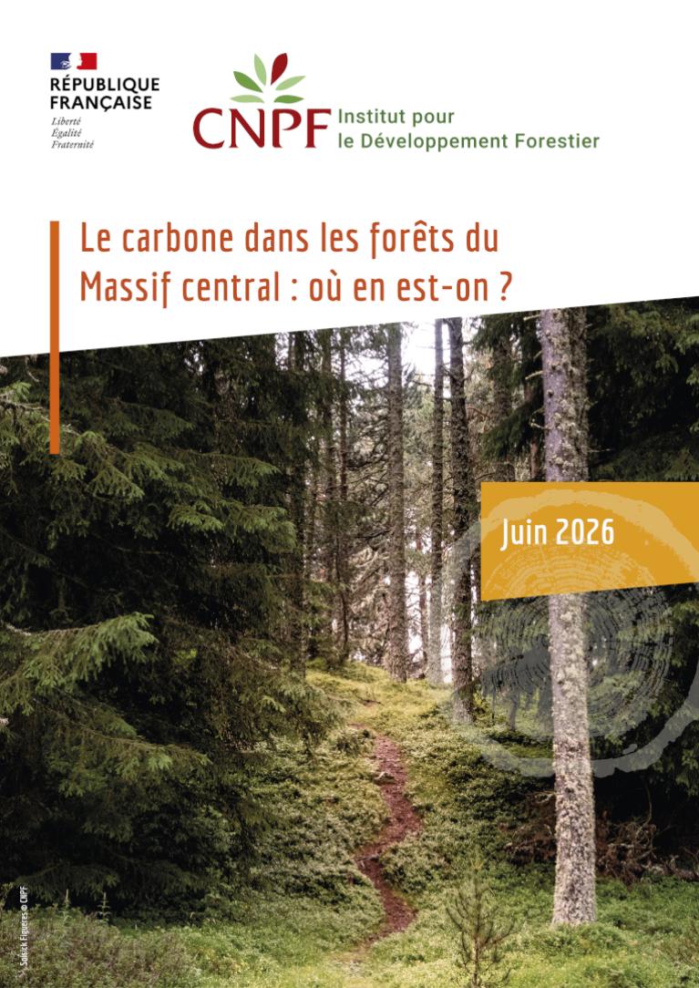 Le carbone dans les forêts du Massif central : où en est-on ?
